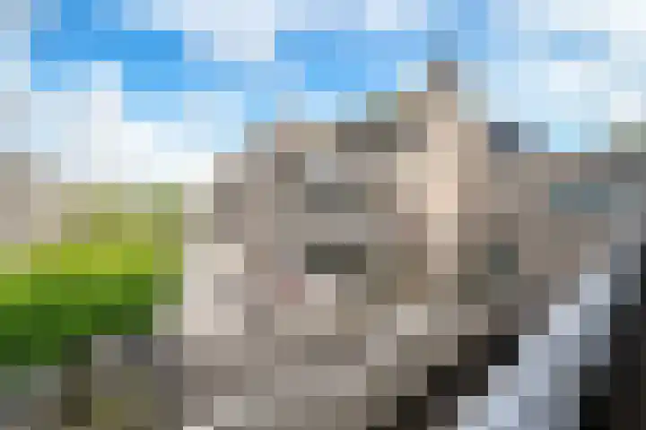 Sterrekinderen erf 55 Capelle aan den IJssel thumbnail 43