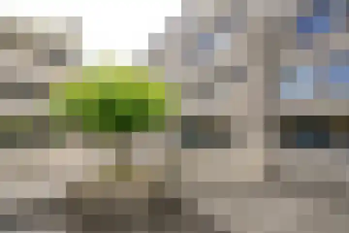 Sterrekinderen erf 55 Capelle aan den IJssel thumbnail 44