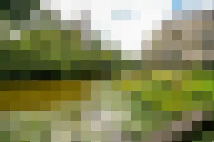 Sterrekinderen erf 55 Capelle aan den IJssel thumbnail 45