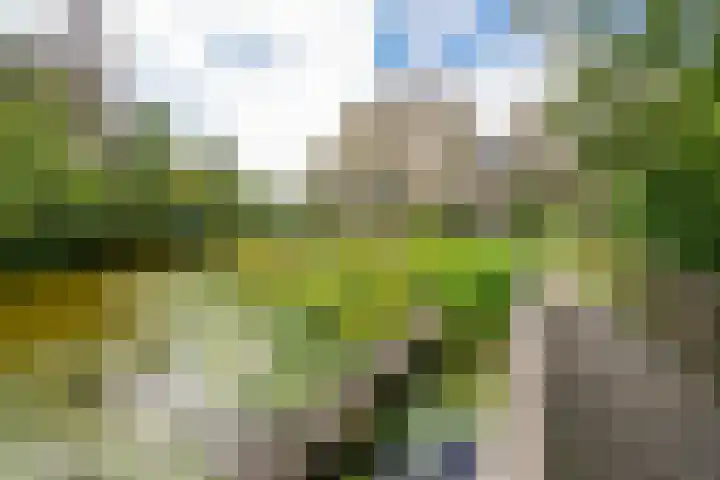 Sterrekinderen erf 55 Capelle aan den IJssel thumbnail 48