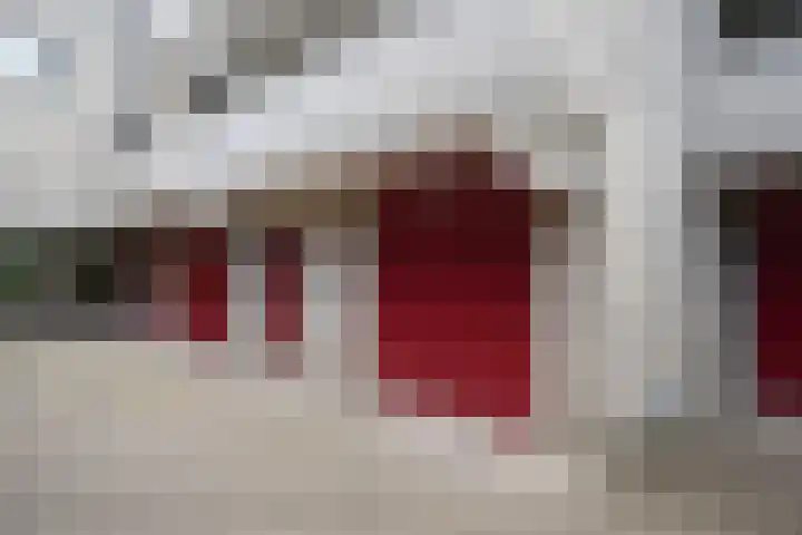 Sterrekinderen erf 55 Capelle aan den IJssel thumbnail 5