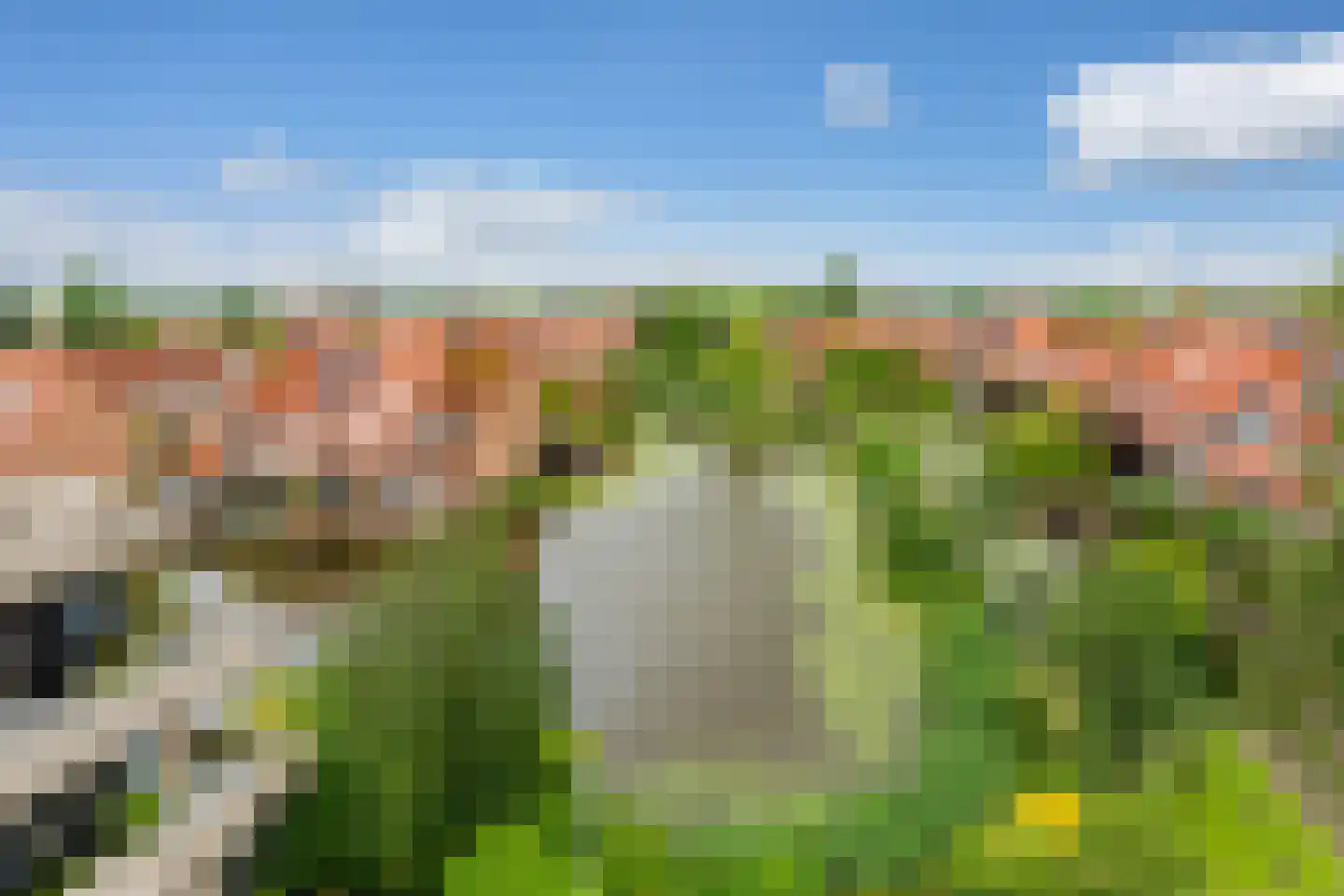 Sterrekinderen erf 84 Capelle aan den IJssel thumbnail 22