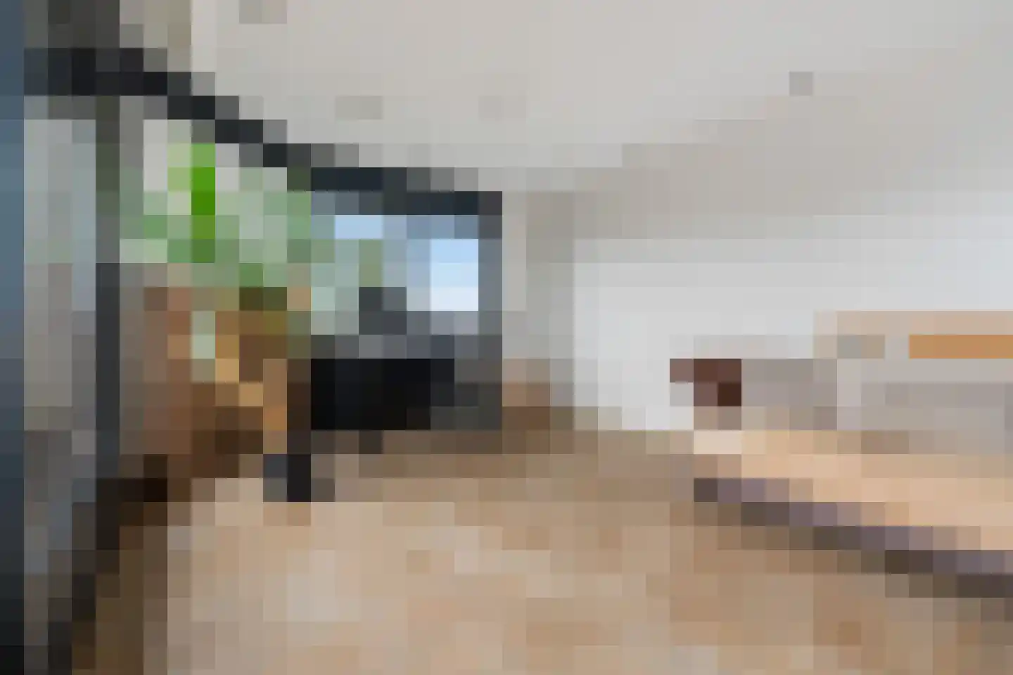 Sterrekinderen erf 84 Capelle aan den IJssel thumbnail 28
