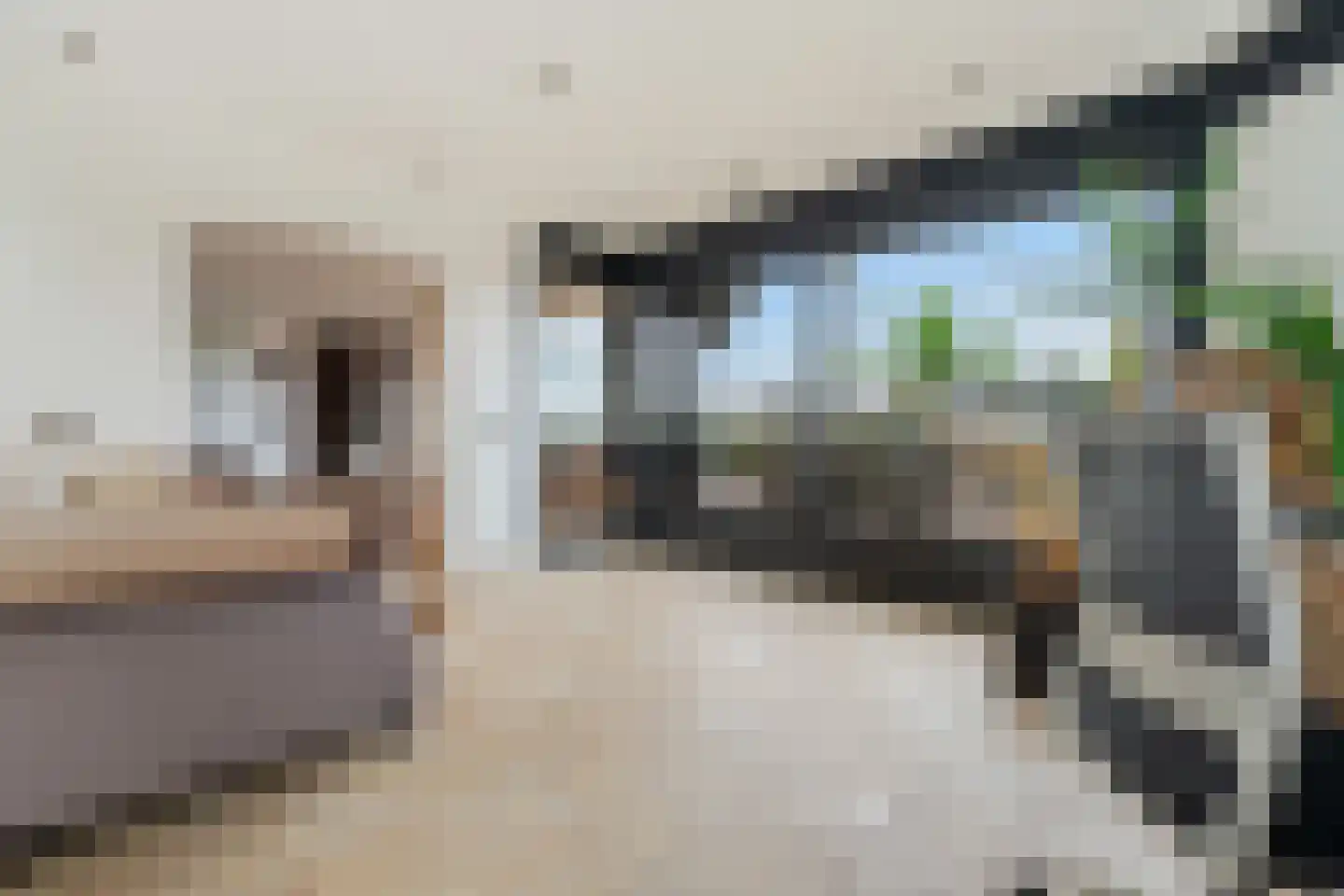 Sterrekinderen erf 84 Capelle aan den IJssel thumbnail 30