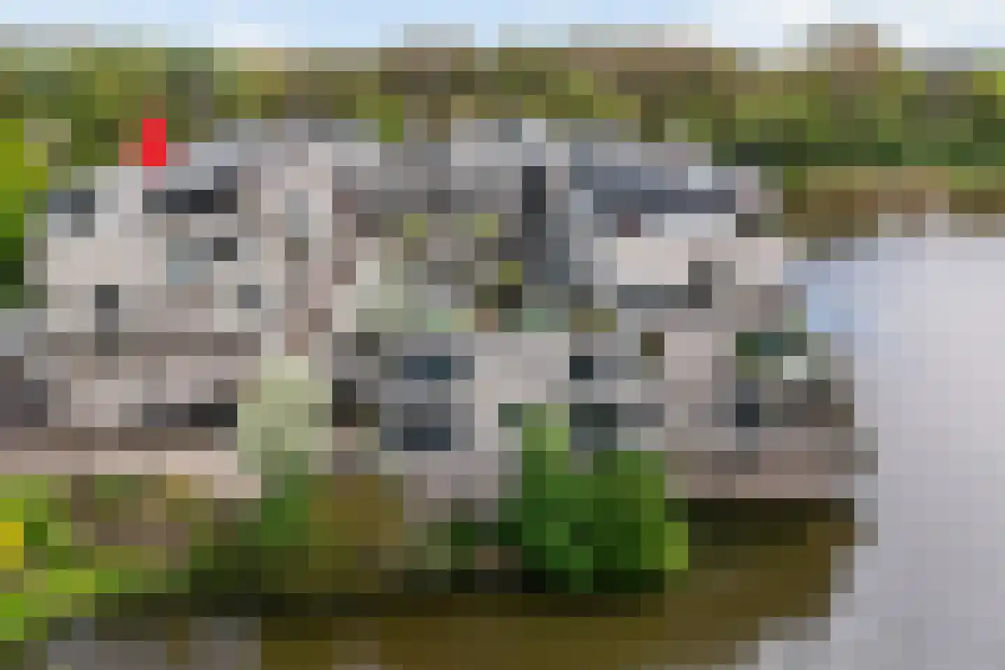 Sterrekinderen erf 84 Capelle aan den IJssel thumbnail 43
