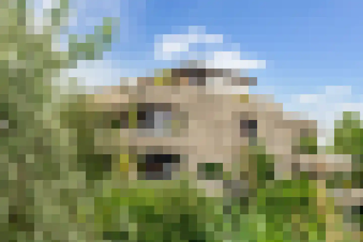 Sterrekinderen erf 84 Capelle aan den IJssel thumbnail 46