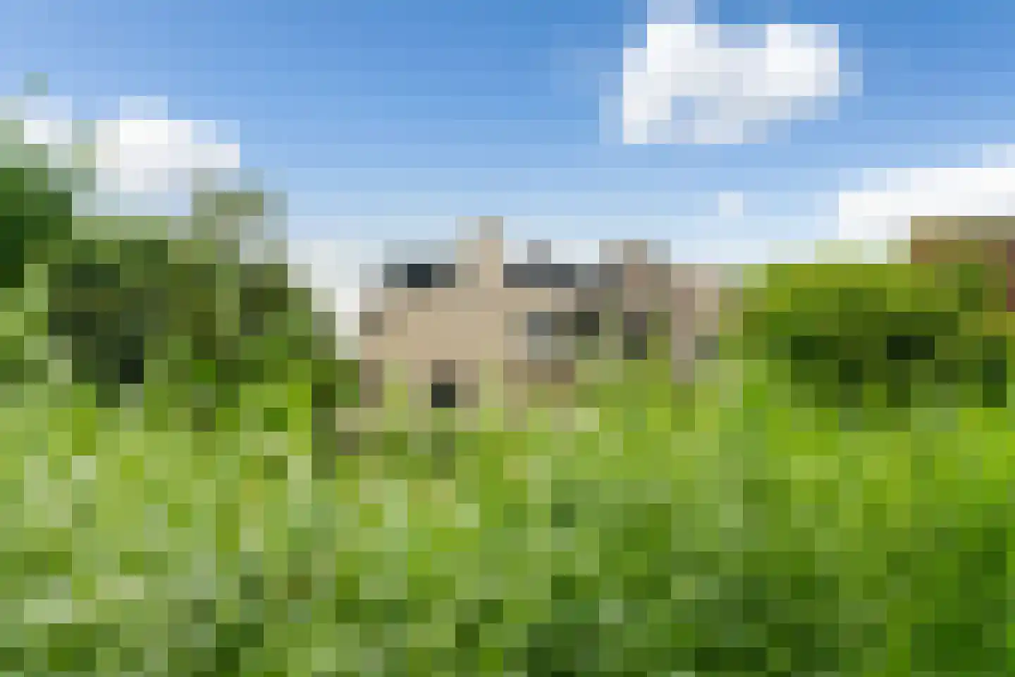 Sterrekinderen erf 84 Capelle aan den IJssel thumbnail 47