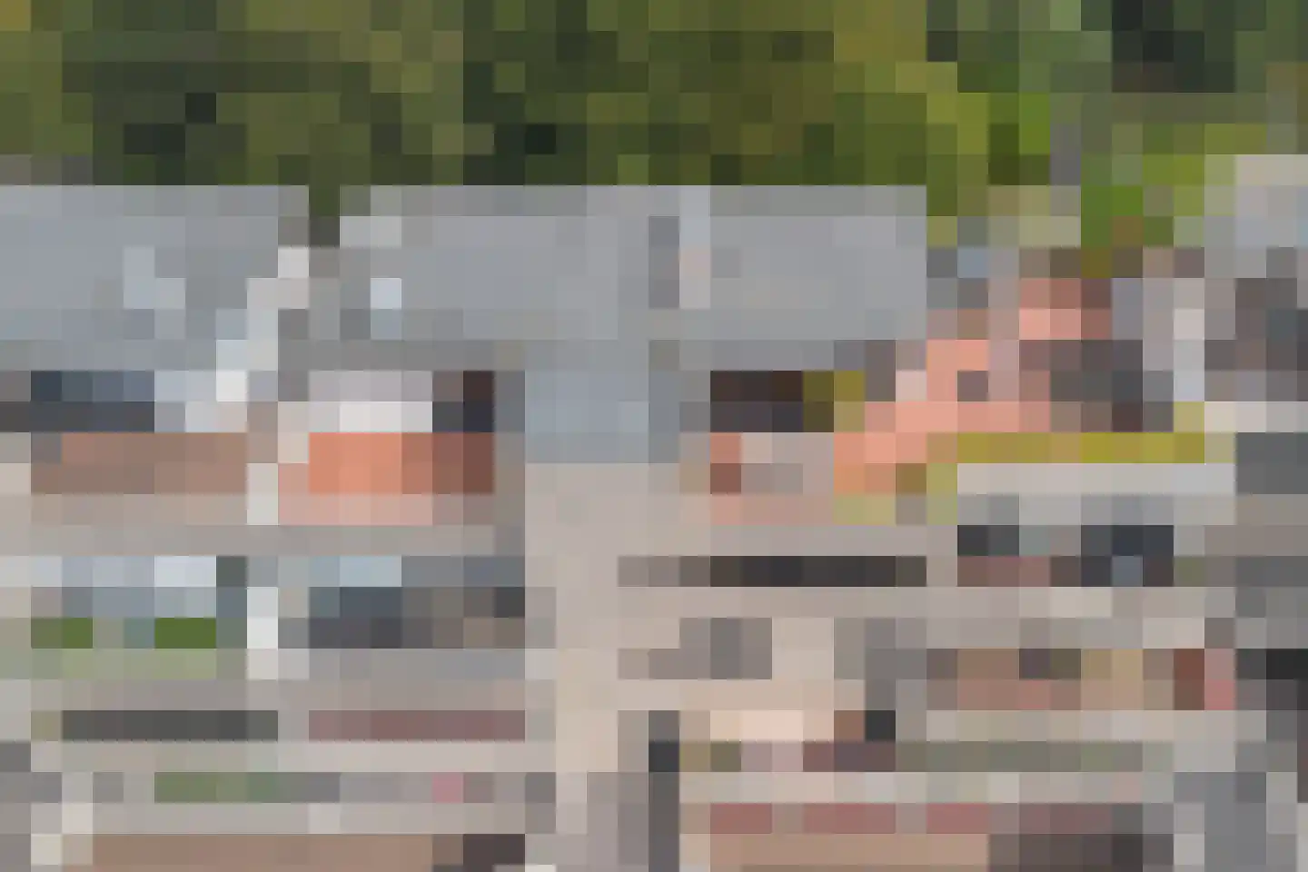 Sterrekinderen erf 94 in Capelle aan den IJssel