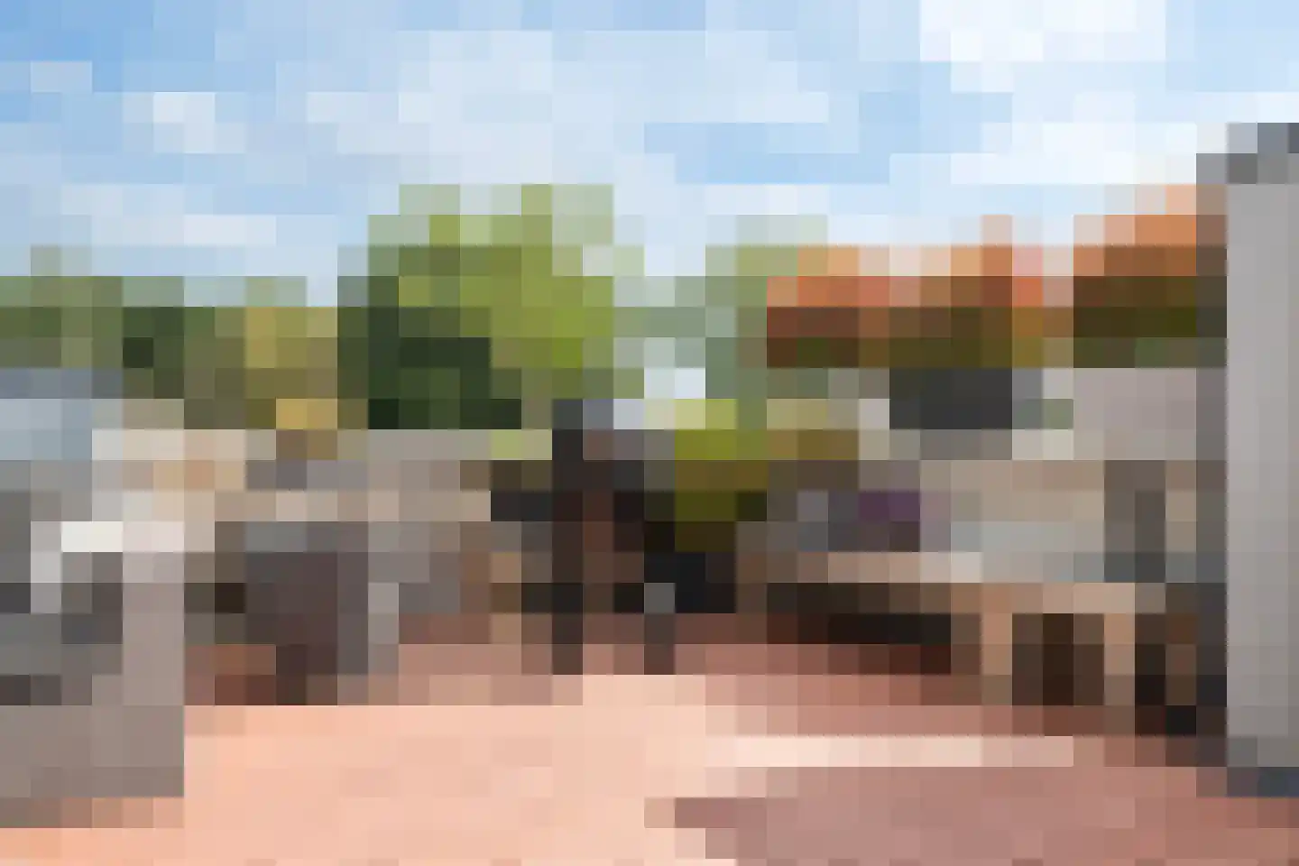 Sterrekinderen erf 94 Capelle aan den IJssel thumbnail 16