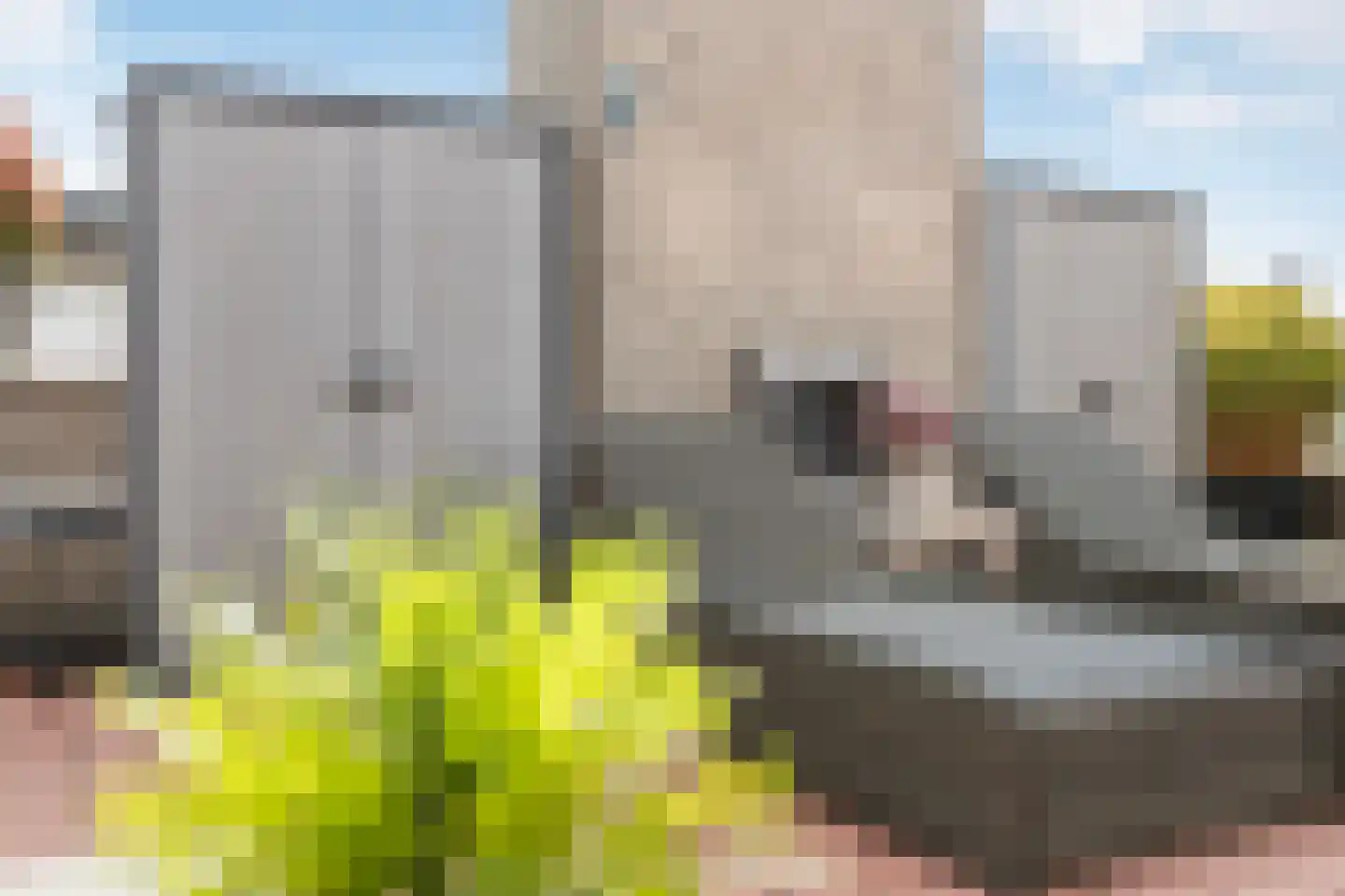 Sterrekinderen erf 94 Capelle aan den IJssel thumbnail 21