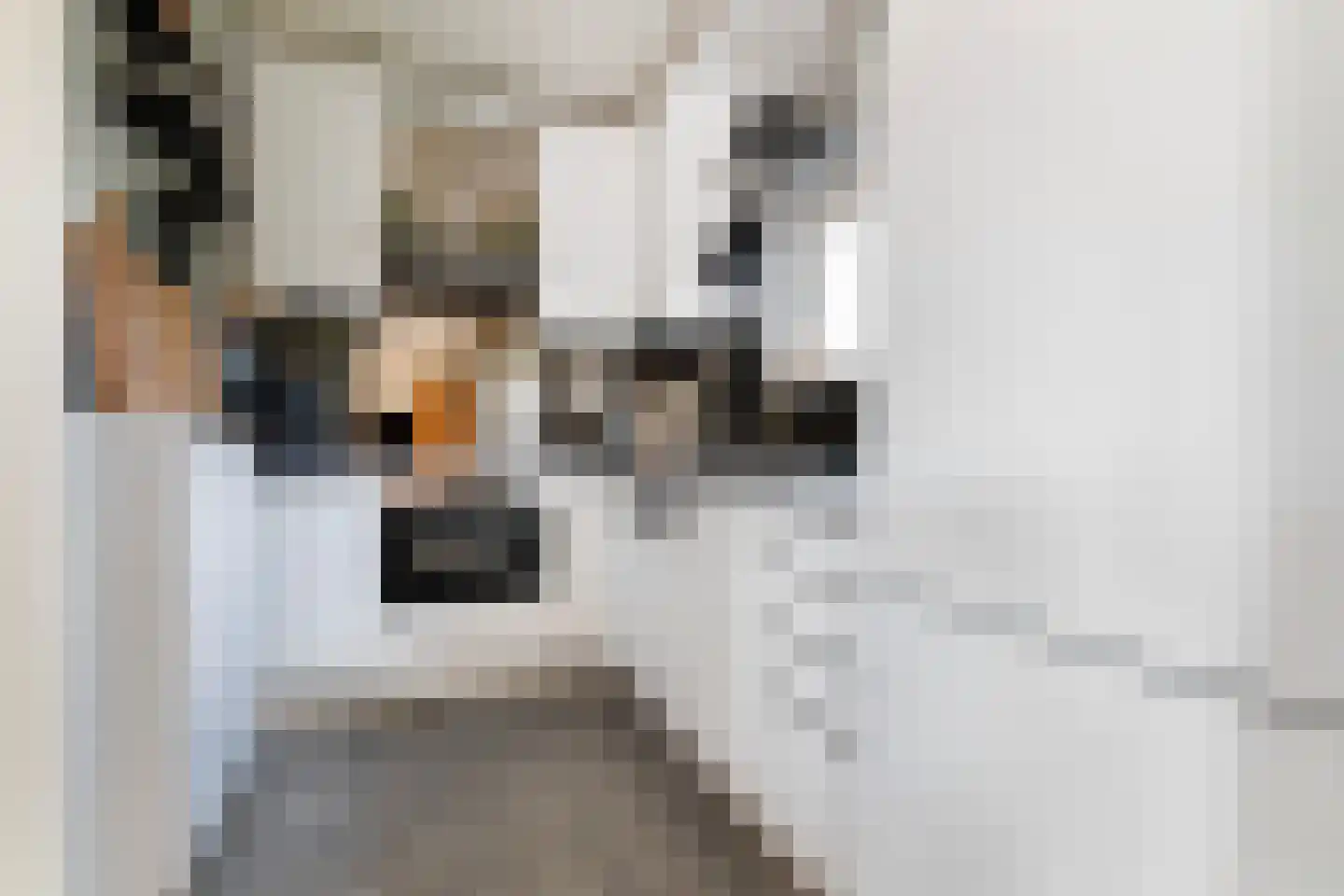 Sterrekinderen erf 94 Capelle aan den IJssel thumbnail 30