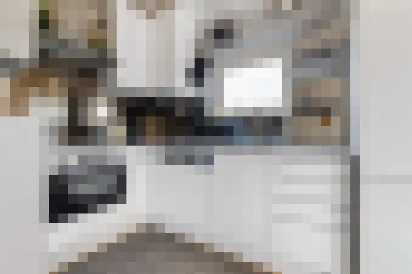 Sterrekinderen erf 94 Capelle aan den IJssel thumbnail 31