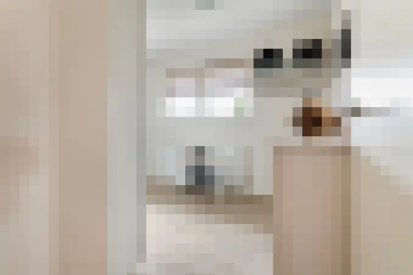 Sterrekinderen erf 94 Capelle aan den IJssel thumbnail 32