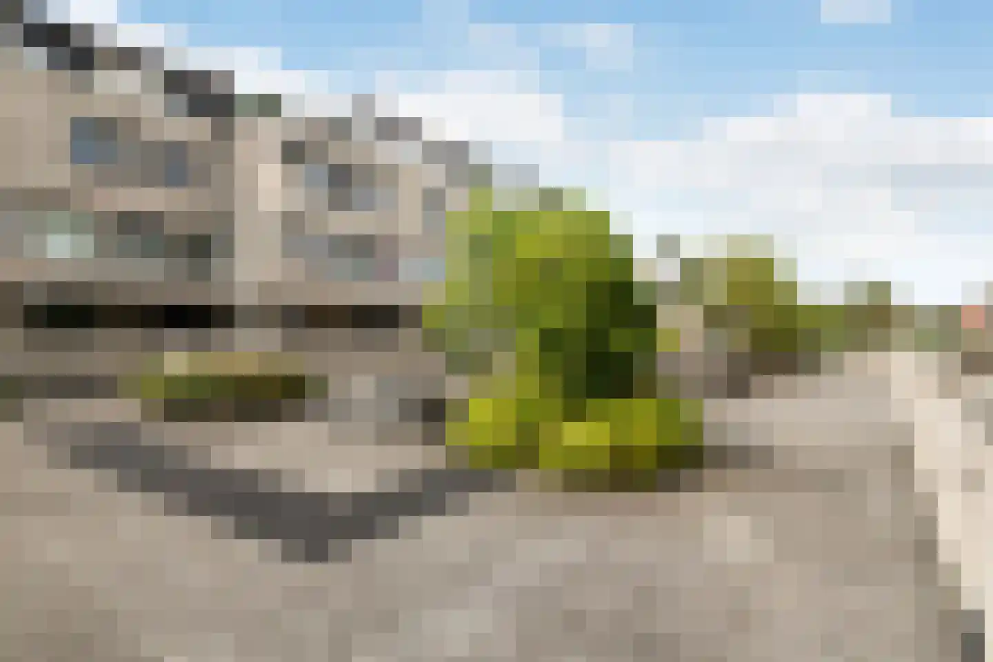 Sterrekinderen erf 94 Capelle aan den IJssel thumbnail 52