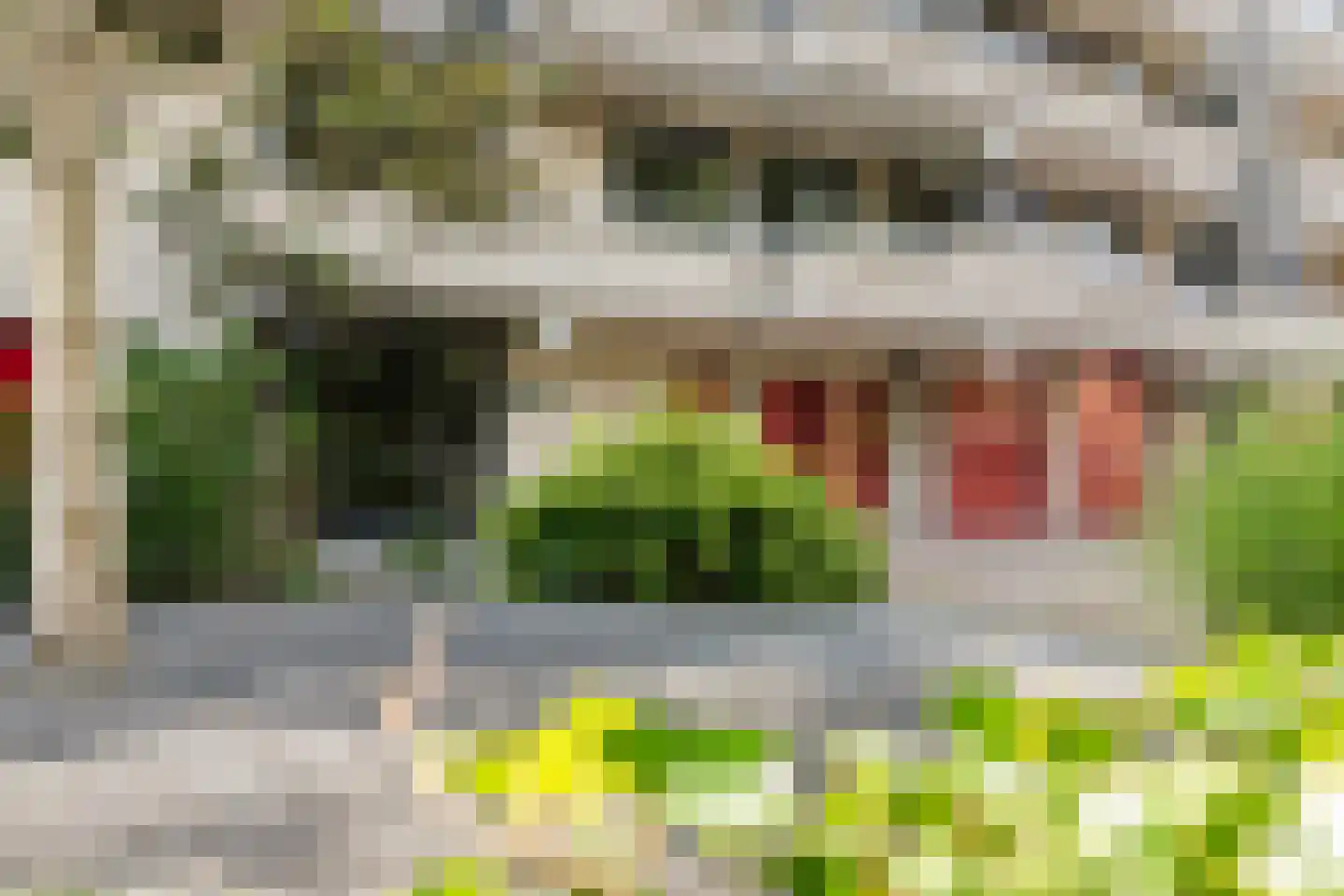 Sterrekinderen erf 94 Capelle aan den IJssel thumbnail 53