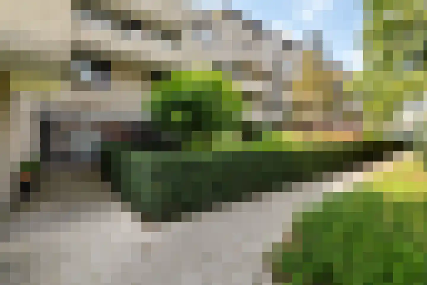 Sterrekinderen erf 94 Capelle aan den IJssel thumbnail 54