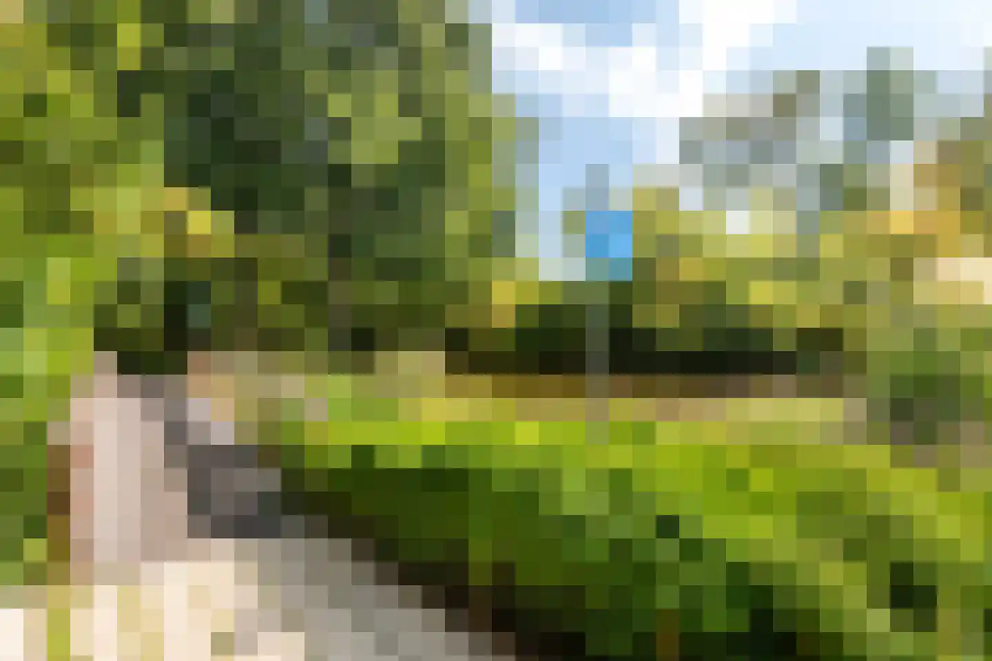Sterrekinderen erf 94 Capelle aan den IJssel thumbnail 55