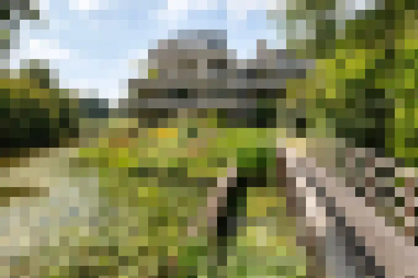 Sterrekinderen erf 94 Capelle aan den IJssel thumbnail 56