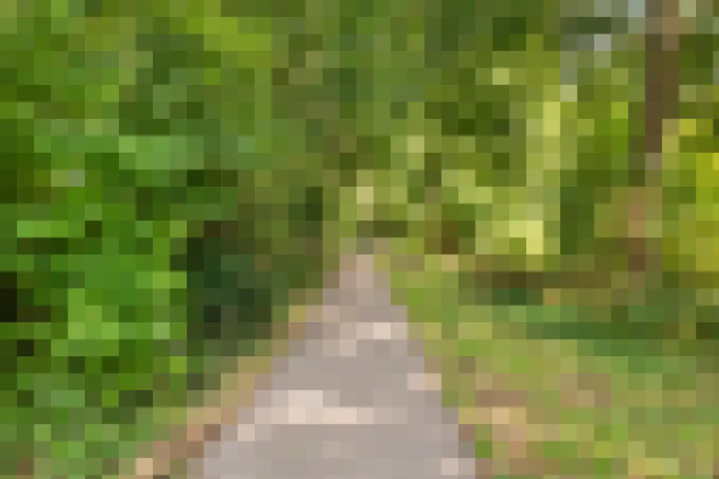 Sterrekinderen erf 94 Capelle aan den IJssel thumbnail 57