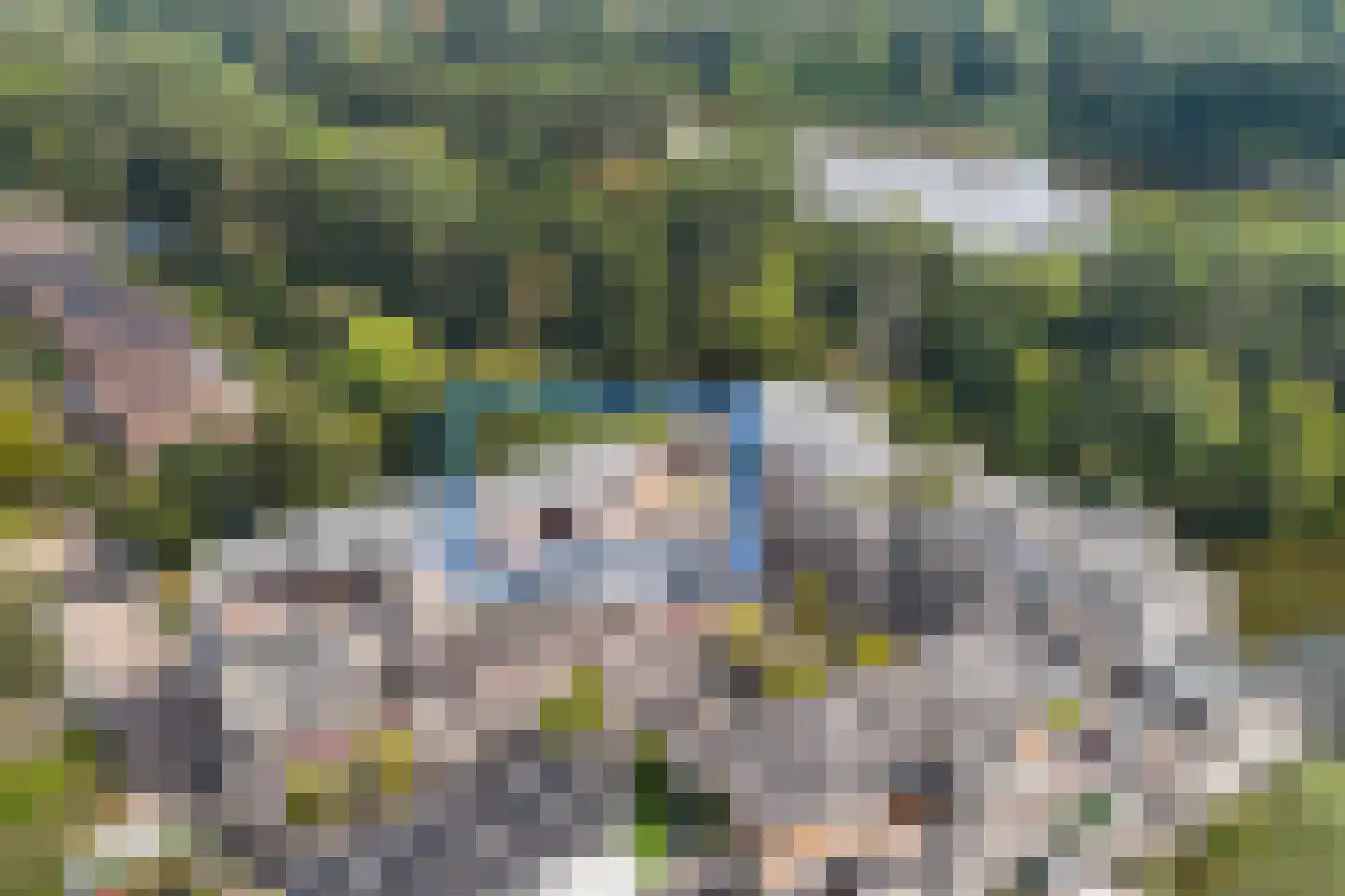 Sterrekinderen erf 94 Capelle aan den IJssel thumbnail 8