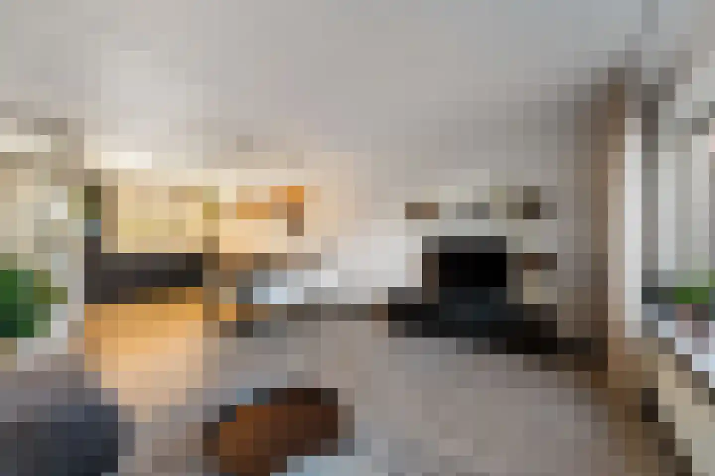 Sterrekroos 49 Kampen thumbnail 18