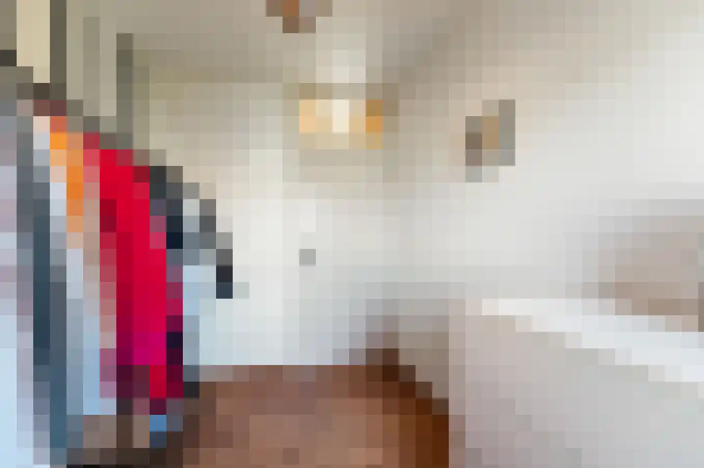 Sterrekroos 49 Kampen thumbnail 27