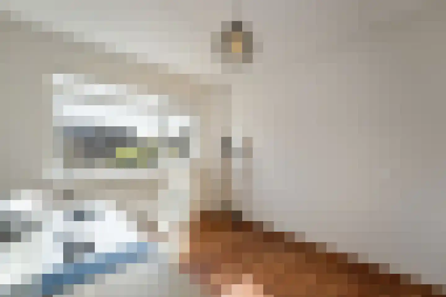 Sterrekroos 49 Kampen thumbnail 32