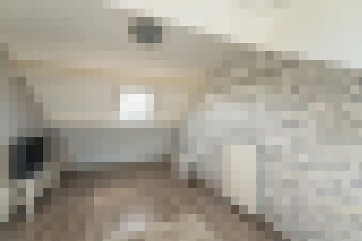 Sterrekroos 49 Kampen thumbnail 46