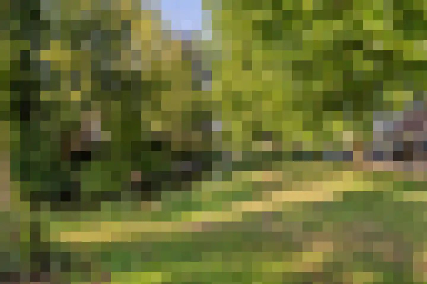 Sterrekroos 49 Kampen thumbnail 49