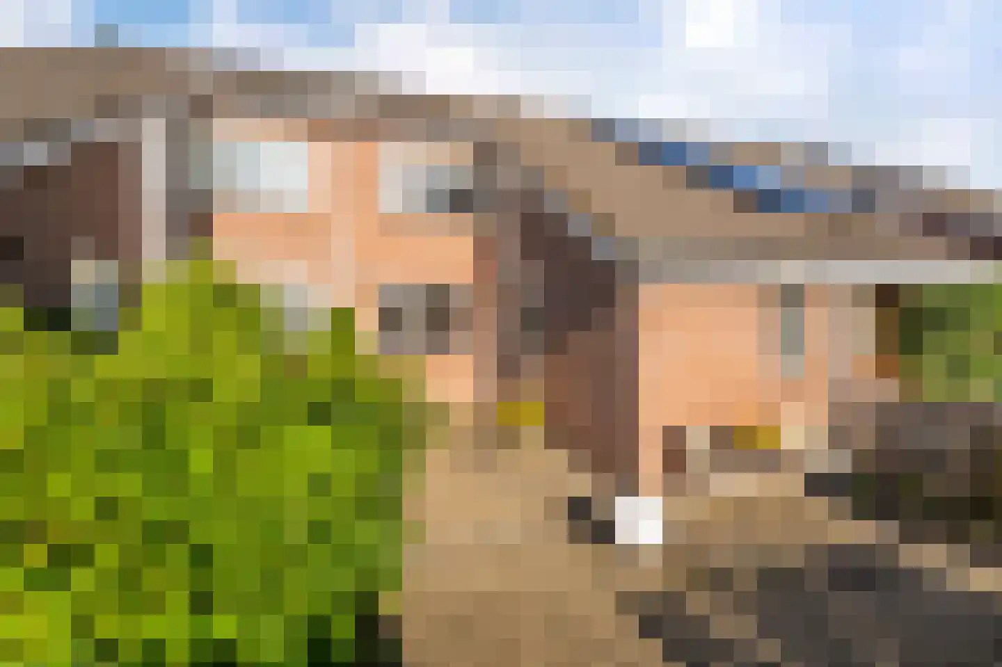 Sterrekroos 49 Kampen thumbnail 5