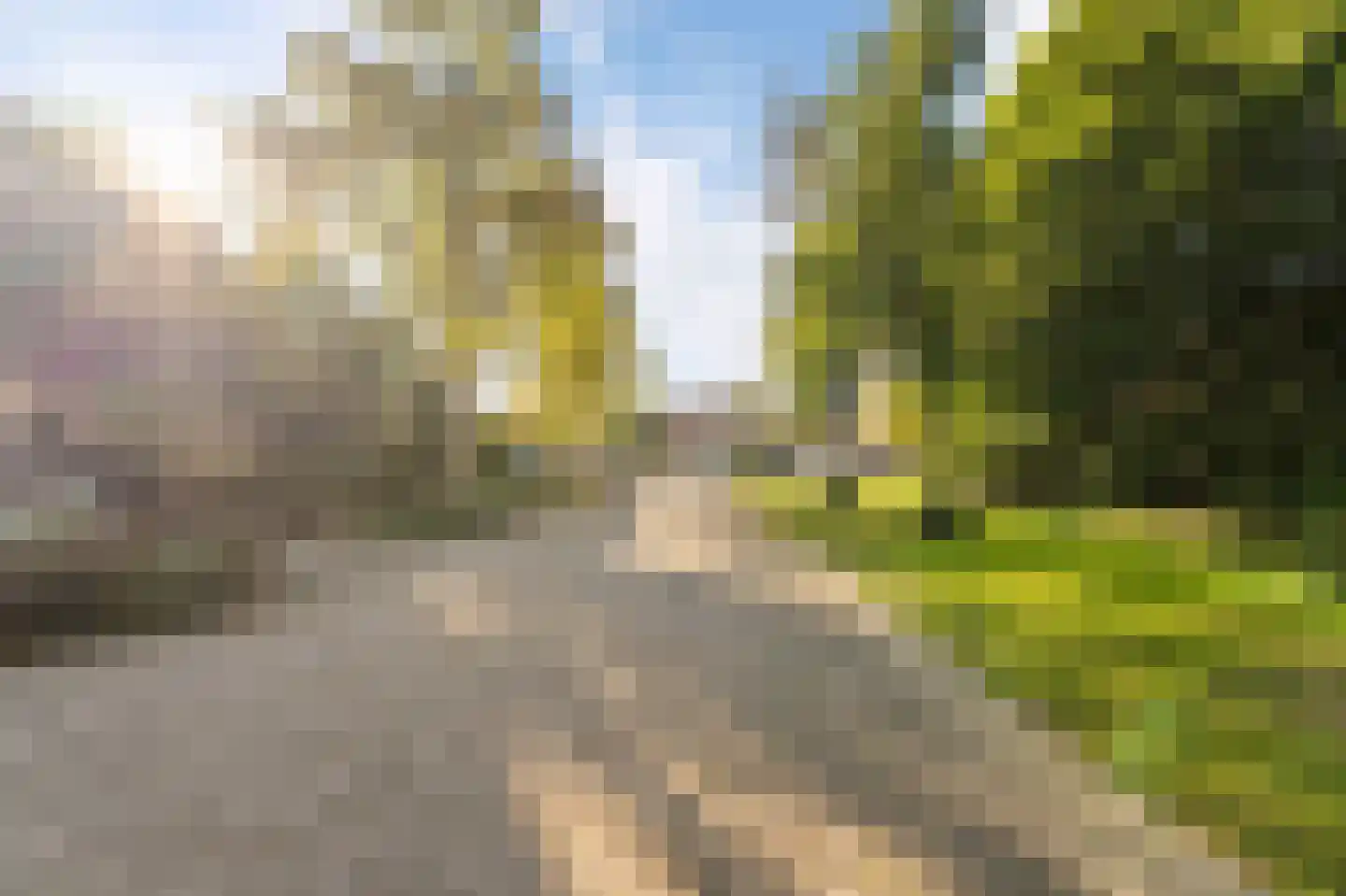 Sterrekroos 49 Kampen thumbnail 51