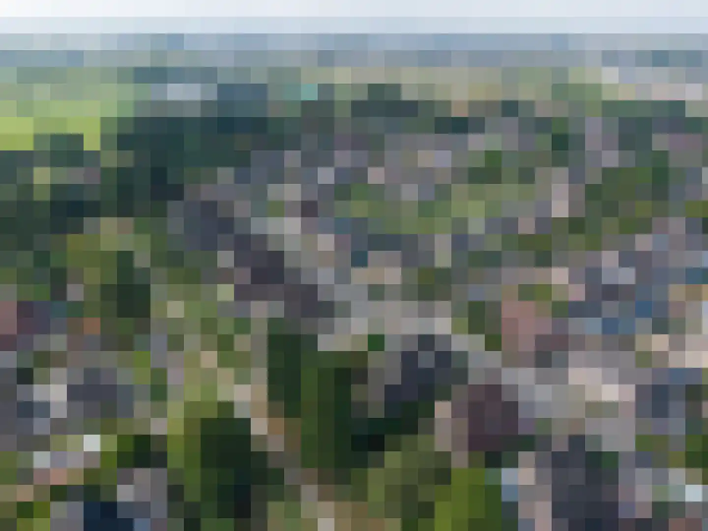 Sterrekroos 49 Kampen thumbnail 52