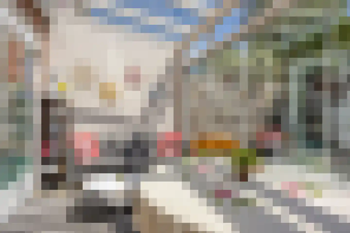 Sterrekroos 73 Kampen thumbnail 31