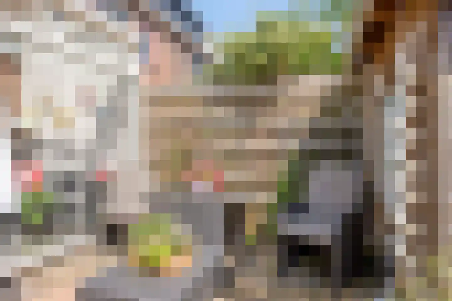 Sterrekroos 73 Kampen thumbnail 33