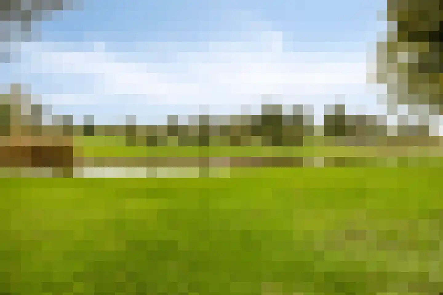 Sterrekroos 73 Kampen thumbnail 38