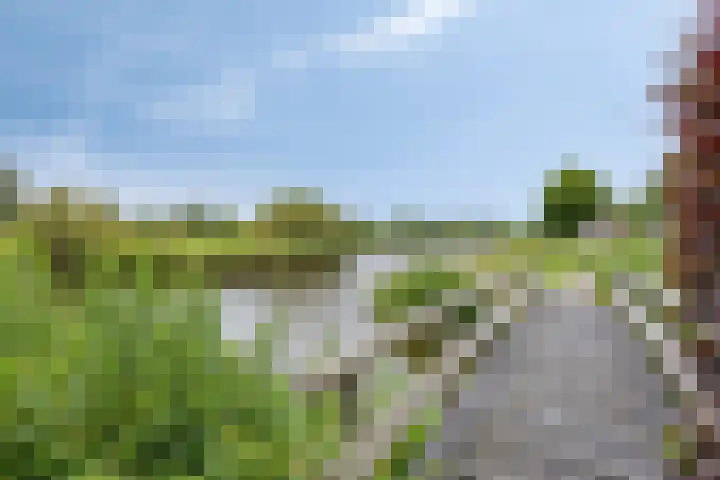 Sterrekroos 73 Kampen thumbnail 39