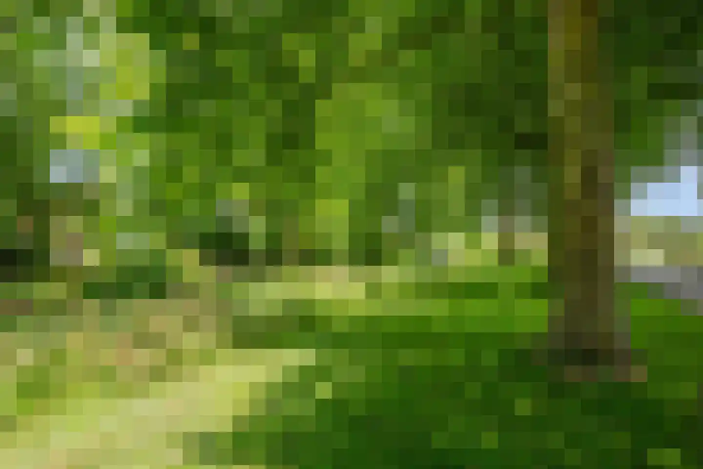 Sterrekroos 73 Kampen thumbnail 40