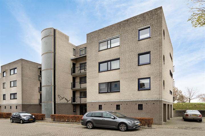 Sterrekruid 103 in Zeewolde photo