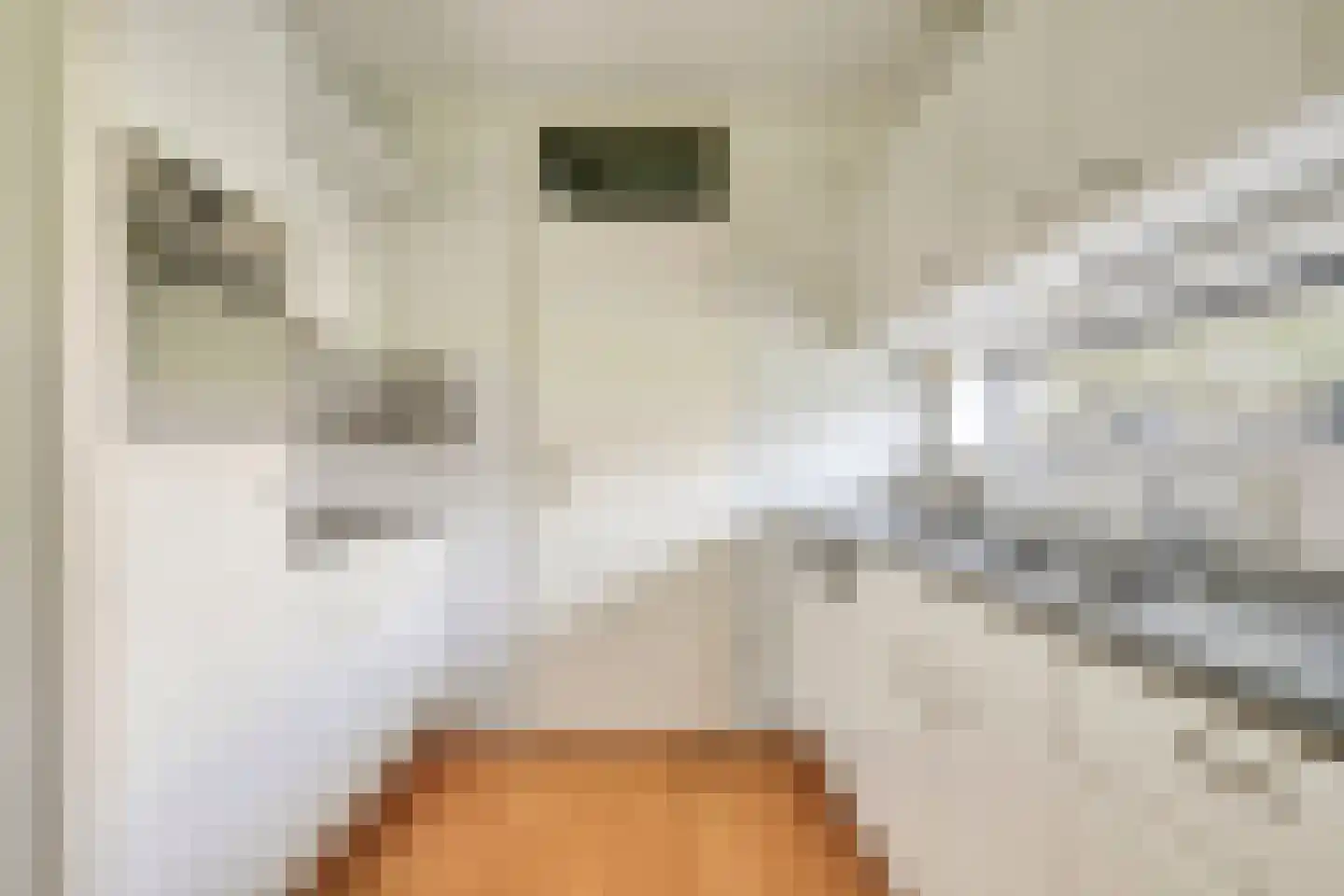 Sterrekruid 105 Zeewolde thumbnail 18