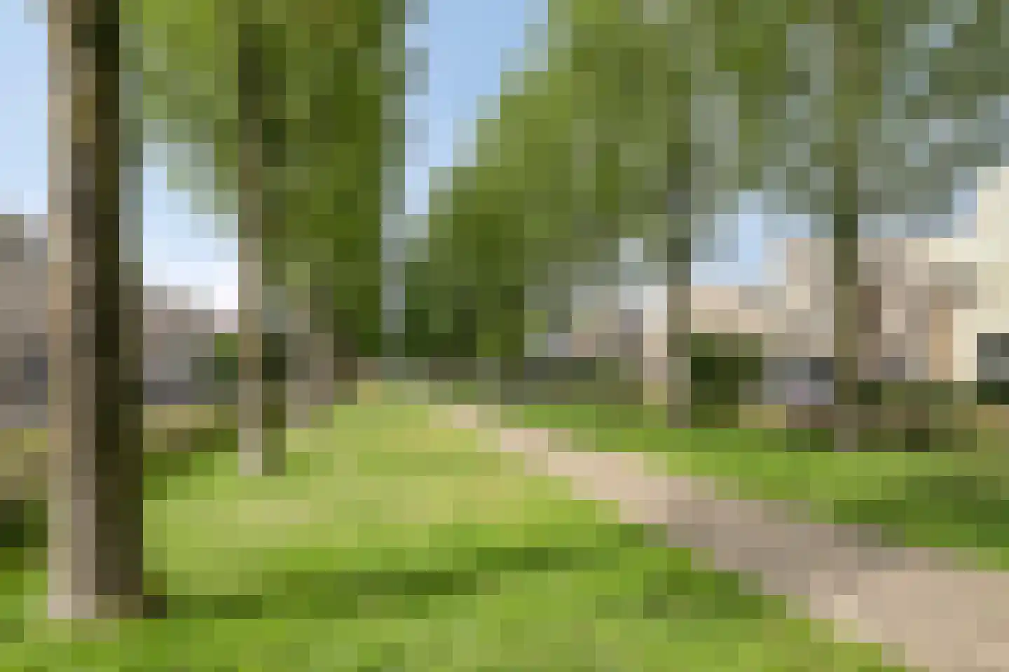 Sterrekruid 105 Zeewolde thumbnail 34