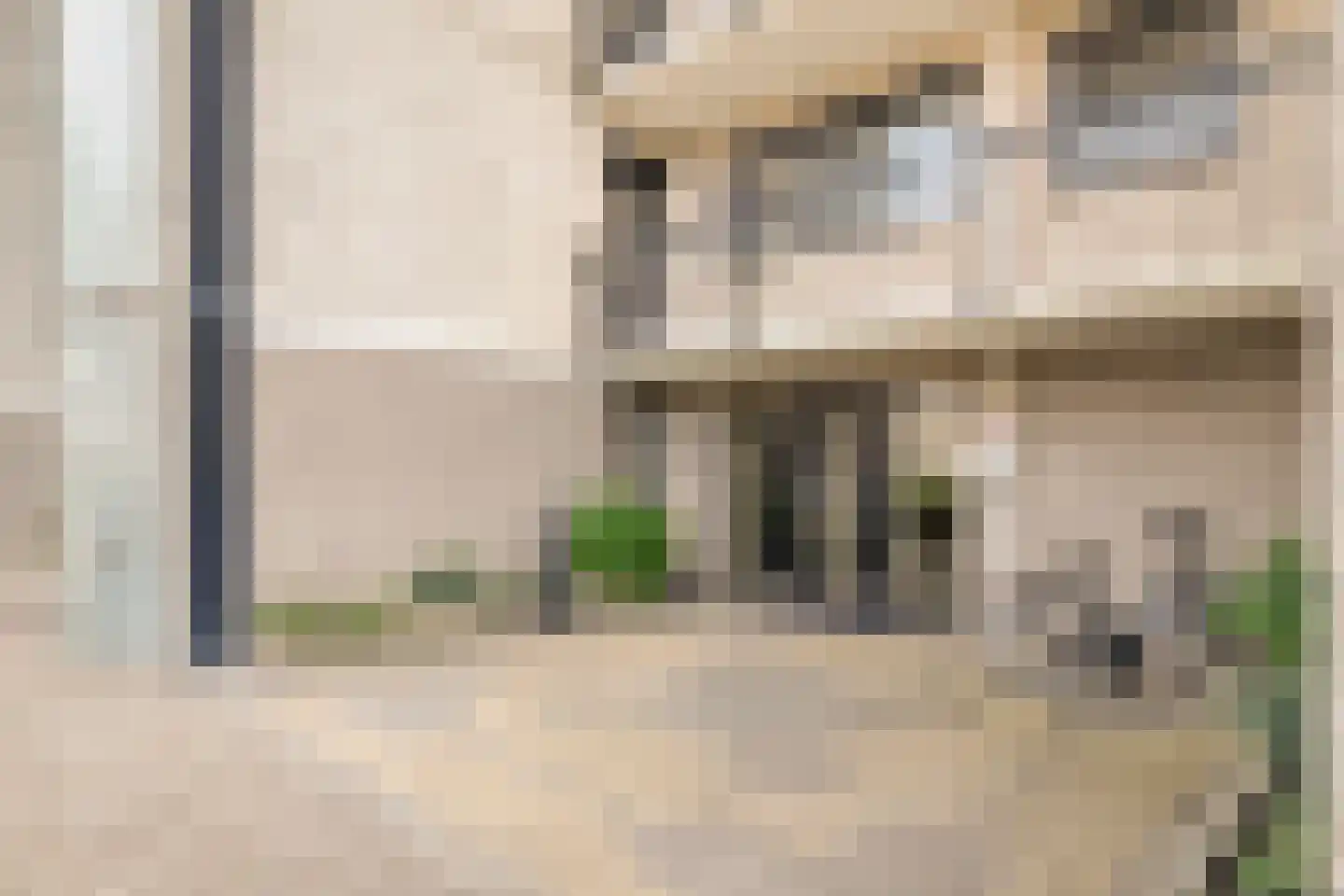 Sterrekruid 105 Zeewolde thumbnail 8