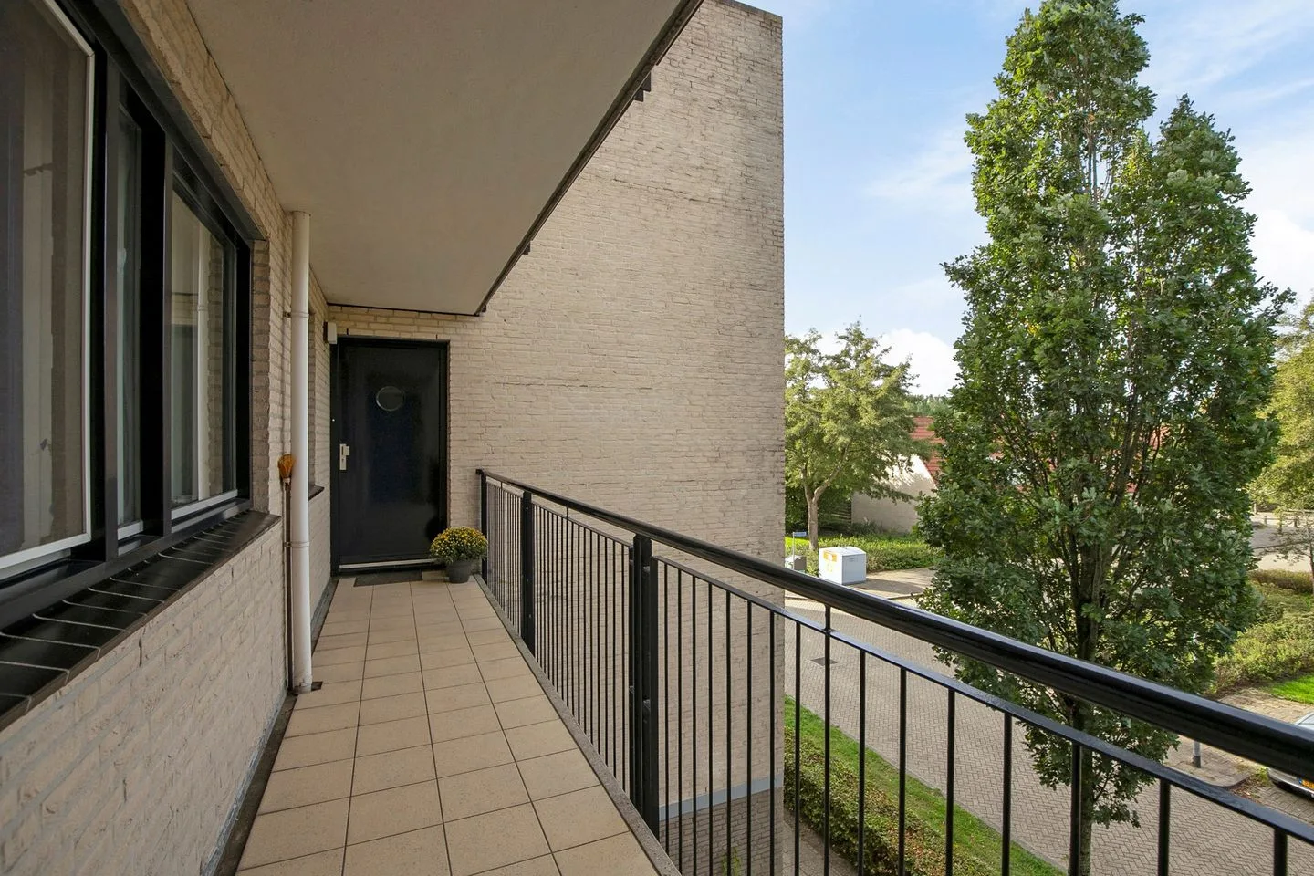 Sterrekruid 41 Zeewolde thumbnail 11