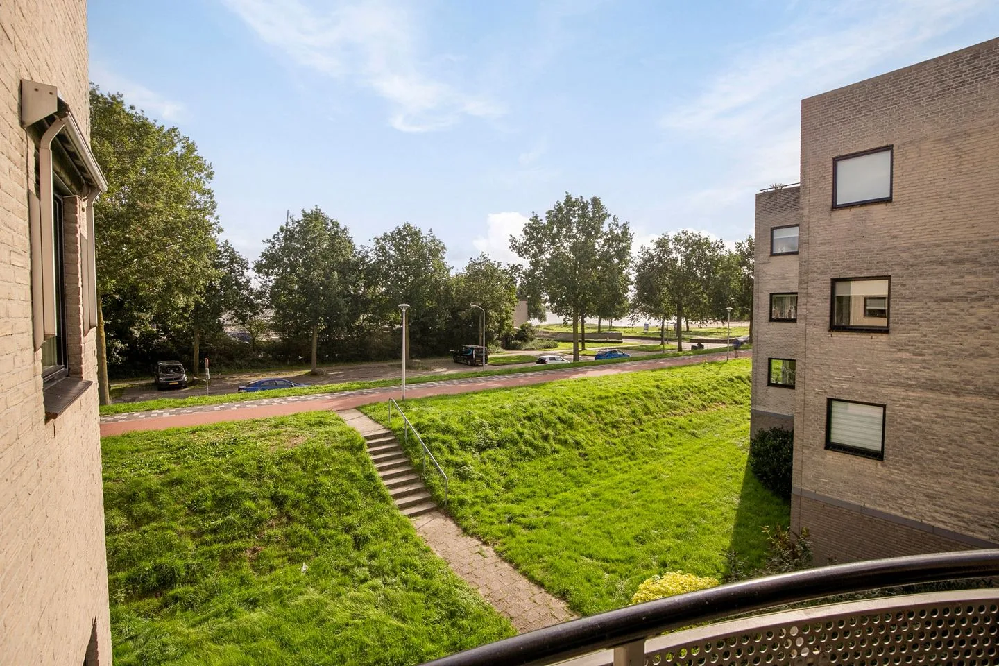 Sterrekruid 41 Zeewolde thumbnail 26