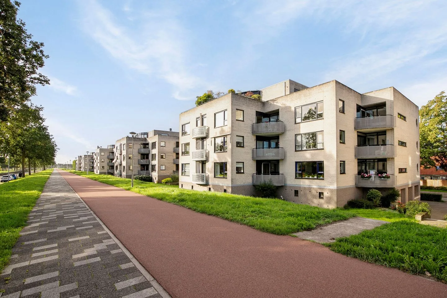 Sterrekruid 41 Zeewolde thumbnail 35