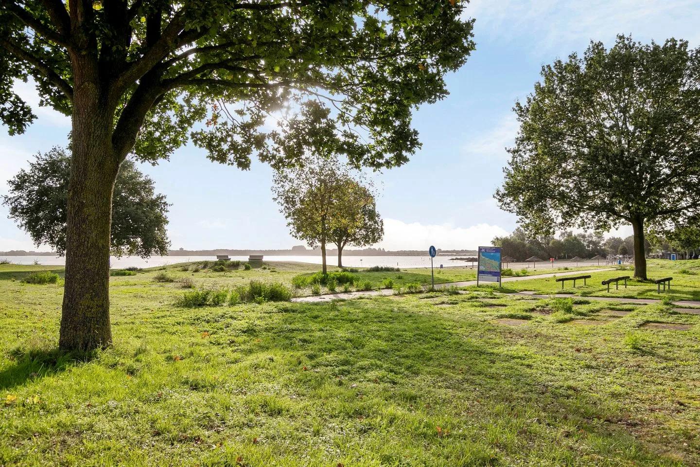 Sterrekruid 41 Zeewolde thumbnail 36