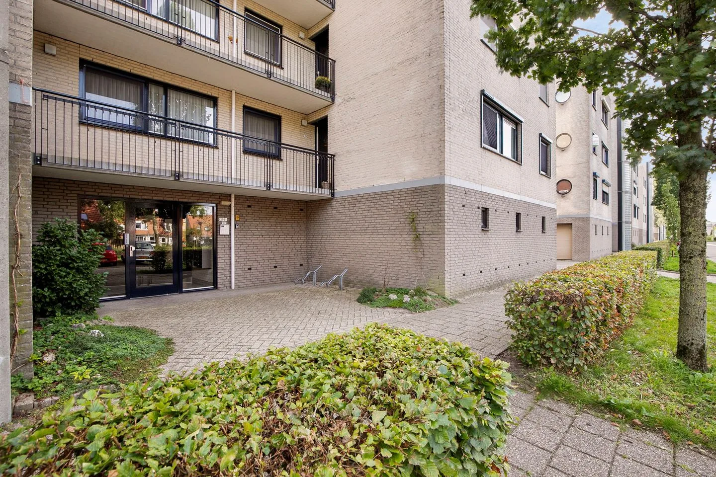 Sterrekruid 41 Zeewolde thumbnail 8