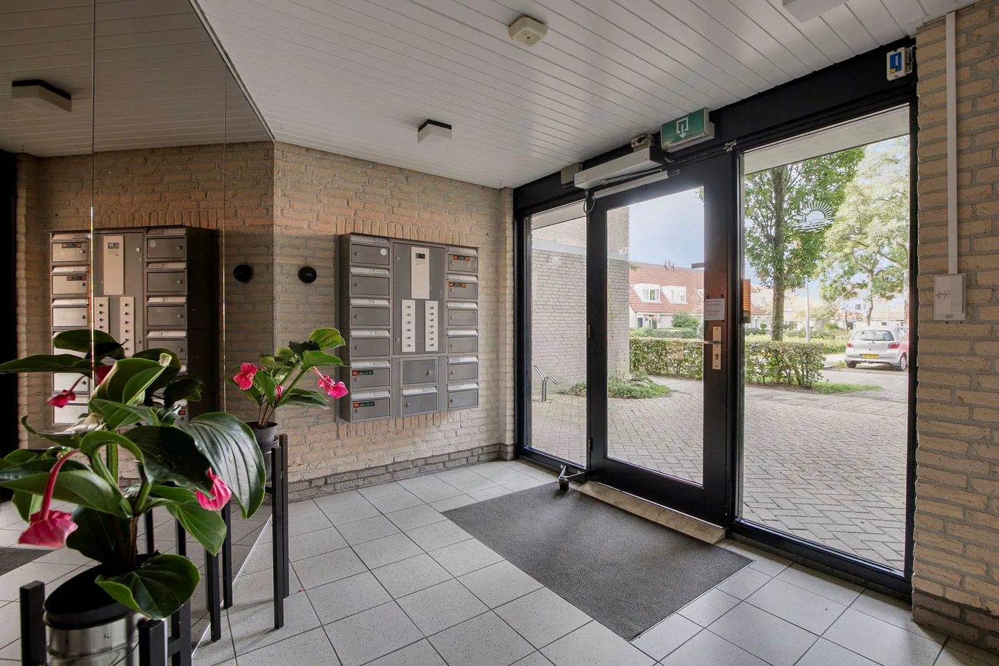 Sterrekruid 41 Zeewolde thumbnail 9