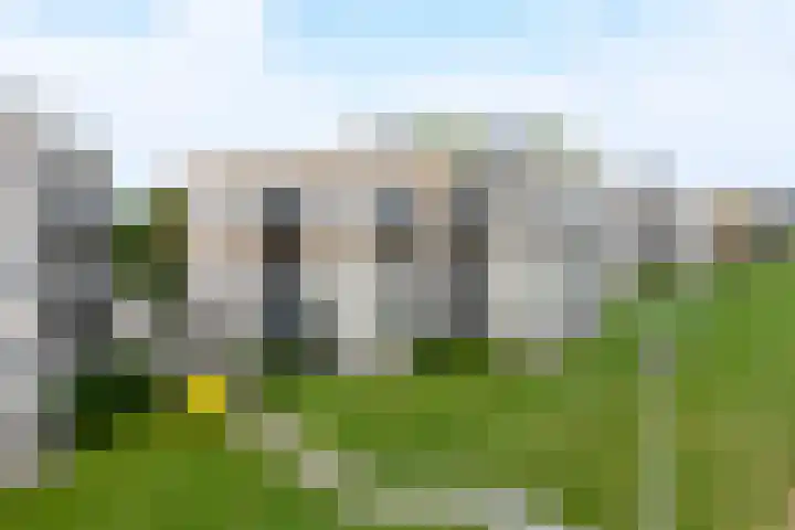 Sterrekruid 49 in Zeewolde