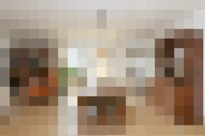 Sterrekruid 49 Zeewolde thumbnail 10