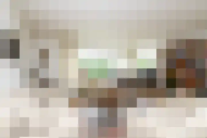 Sterrekruid 49 Zeewolde thumbnail 12